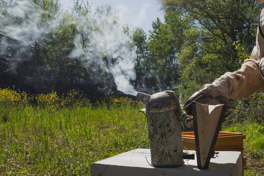 Bee Smoker Releasing Smoke in Outdoor Apiary