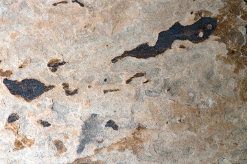 Organic texture in rusty orange and brown. Perfect for abstract compositions.
