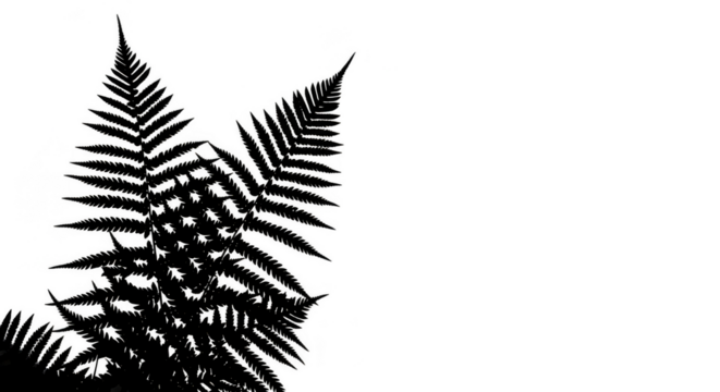 Abstract Background of Colorful Sparkling Lights on Black Transparent Background - Powered by Adobe