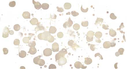 Abstract Transparent Background Soft Light Bokeh Sparkle Blur Effect