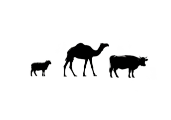 Abstract Illustration Silhouette Elephant Family Herd With Black Background
