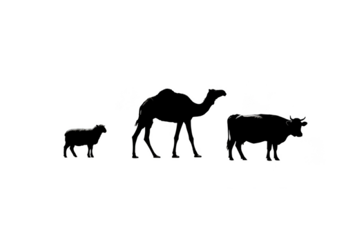 Abstract Illustration Silhouette Elephant Family Herd With Black Background