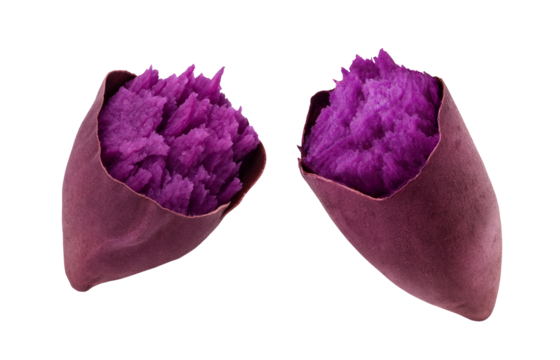 紫芋 紅芋 イラスト リアル 