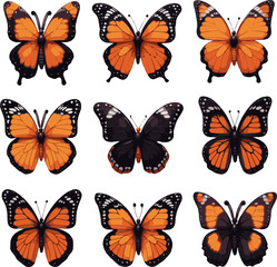 Monarch Butterfly Sticker Collection, Orange and Black Butterfly Decals