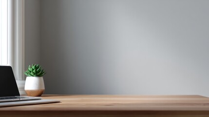 Laptop and succulent on wooden desk against gray wall near window in soft light