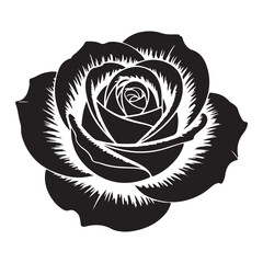 Vector rose flower illustration classic floral decoration