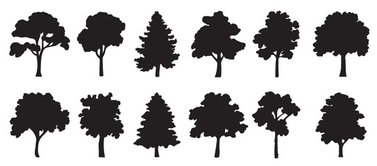 collection trees with words palm trees