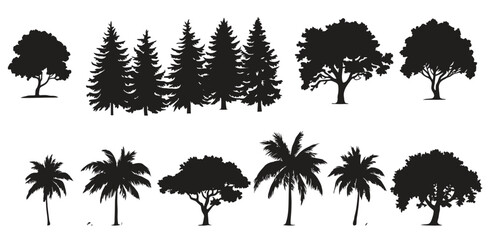 collection trees with words palm trees