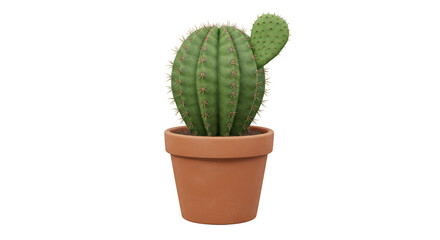 Illustration Green Cactus Plant in Brown Pot on Transparent Background