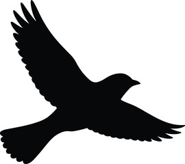 Fototapeta premium Flying Bird Silhouette – Minimalist Bird in Flight Vector Design