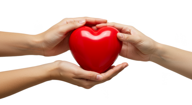 Hands Holding Red Heart Shape Giving Love on Transparent Background