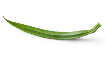 Fototapeta premium Single Green Bean On White Background