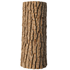 Illustration Isolated Tree Trunk Bark Texture in Brown Wood Background