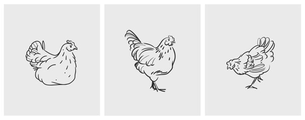 Hand drawn abstract vector graphic illustration collection set with cute, stylized domestic animals rooster and hen character.Trendy modern farm design concept.Vector line animal symbol. animal icons