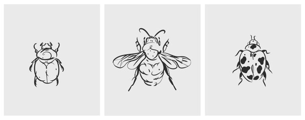 Hand drawn abstract vector graphic illustration collection set with cute, stylized insect bugs sketch.Trendy modern wild nature design concept sketch.Vector line bugs symbol. animal icons