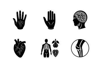 Human Body Parts set Vector icon illustration.