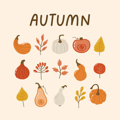 Autumn design, autumn cozy elements, design for posters, banner, greeting cards, stickers, sale