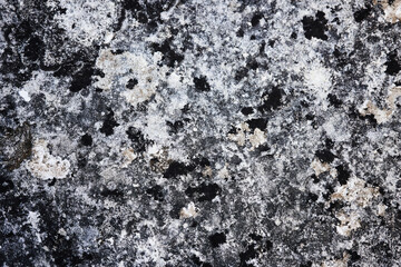 Rough Gray Stone Texture of an Ancient Castle Wall
