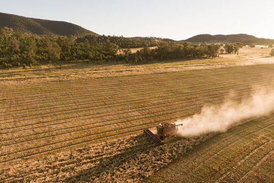 A header is harvesting grain at sunset, aerial view