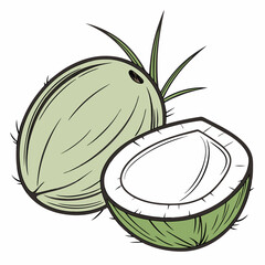 green coconut 3D vector  white background