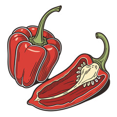 red chilli 3D vector
 white background
