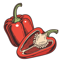 red chilli 3D vector
 white background
