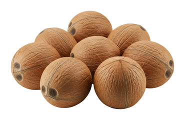 Coconut harvesting event tropical farm food imagery outdoor setting close-up perspective