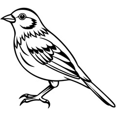 Line Art of Yellowhammer in Monochrome Style