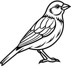 Line Art of Yellowhammer in Monochrome Style