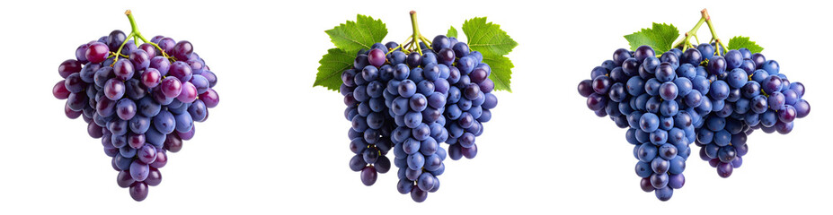Naklejka premium Hanging Cluster of Dark Purple Grapes with Natural Shine and Green Stem, isolated on white background