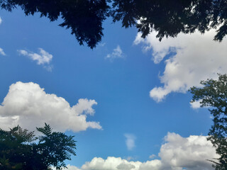 Blue Sky and Clouds Framed by Trees - Natural Copy Space Center