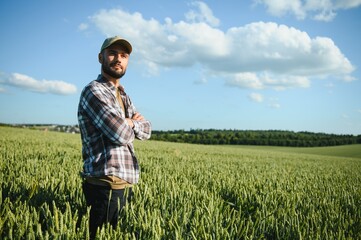 Young farmer standing in a green wheat field examining crop © Serhii