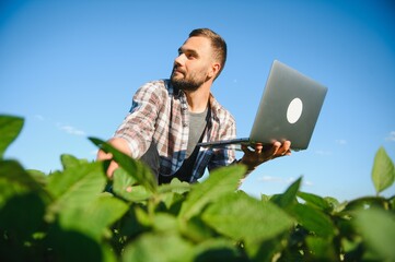 Young handsome agriculture engineer squatting in soybean field with laptop in hands in early summer