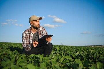 Agronomist inspecting soya bean crops growing in the farm field. Agriculture production concept....