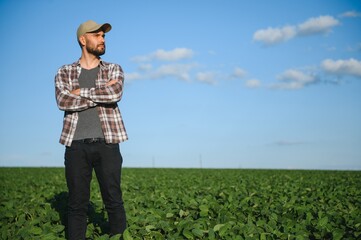 A farmer inspects a green soybean field. The concept of the harvest