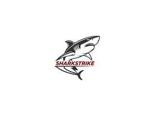 Shark logo ceative design