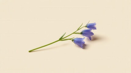 Isolated Single Bluebell Flower Stalk on Light Background