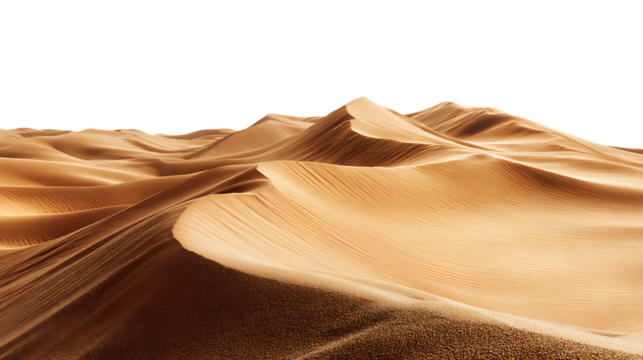 Golden sand dunes in the desert landscape.