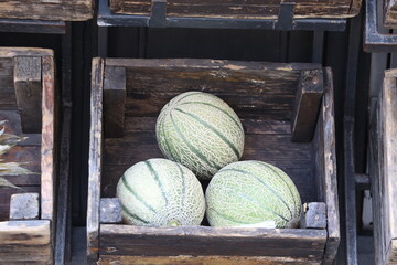Cantaloupes for sale in a wooden crate 