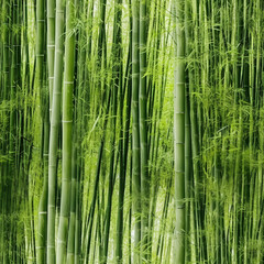 Fototapeta premium Lush bamboo forest, Generative AI 