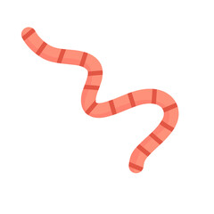 Worm intestinal parasite vector icon
