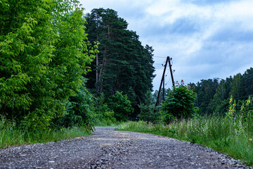 A narrow gravel path curves through a lush green forest with wooden power poles under a cloudy,...
