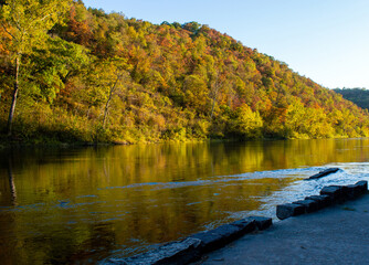 Fall trees by the river