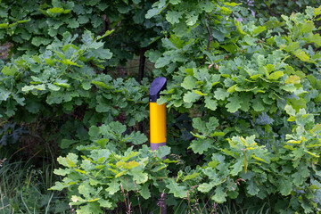 Bright yellow gas pipeline marker partially hidden among dense green foliage in a forest,...
