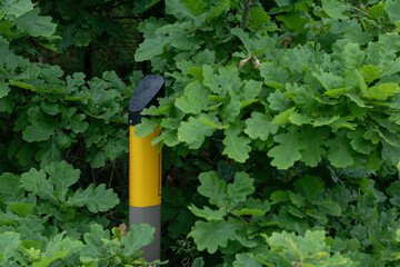 Bright yellow gas pipeline marker partially hidden among dense green foliage in a forest,...
