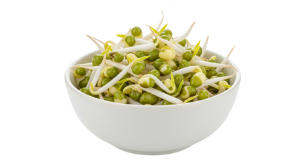 Isolated Bowl of Fresh Bean Sprouts Food Salad Transparent