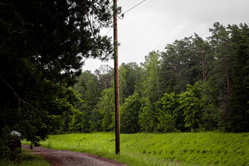Curved gravel path with utility pole runs alongside lush green forest under overcast sky, evoking...