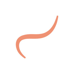 Ascaris Worm Parasite Vector Illustration