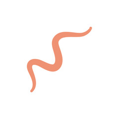 Ascaris Worm Parasite Vector Illustration