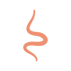 Ascaris Worm Parasite Vector Illustration